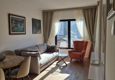 מותג חדש 46 מ 2 דירה בקולאסין